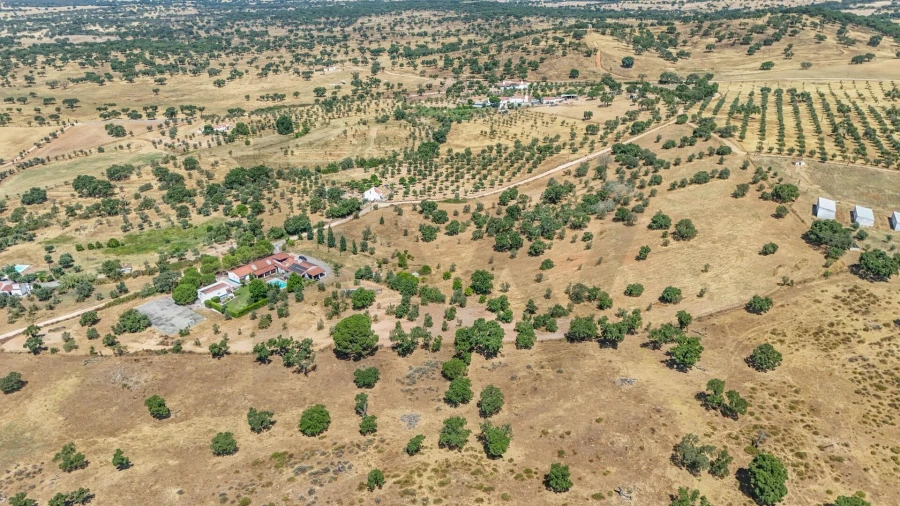 Quinta T5 para Venda em Santiago do Escoural Foto 55