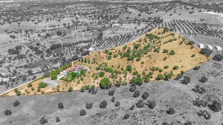 Quinta T5 para Venda em Santiago do Escoural Foto 57