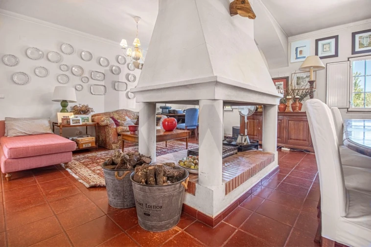 Quinta T5 para Venda em Santiago do Escoural Foto 5