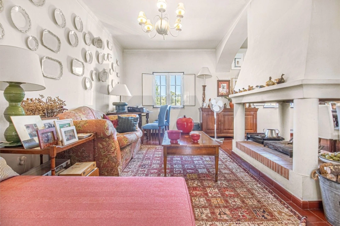 Quinta T5 para Venda em Santiago do Escoural Foto 6