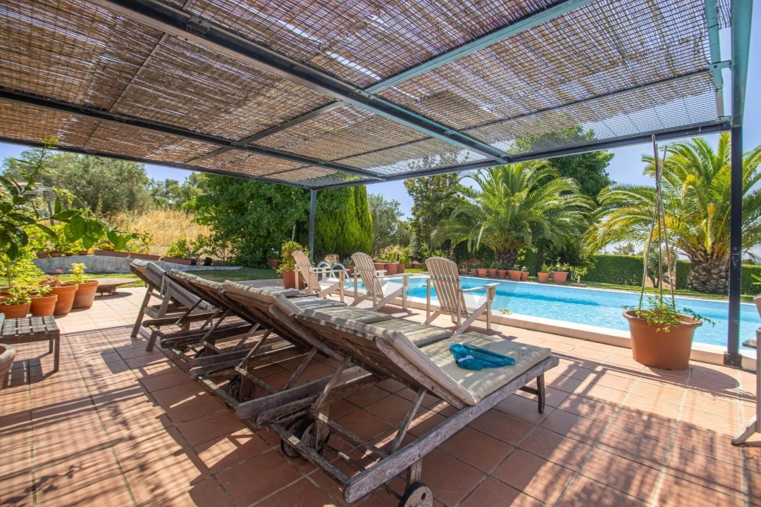 Quinta T5 para Venda em Santiago do Escoural Foto 39