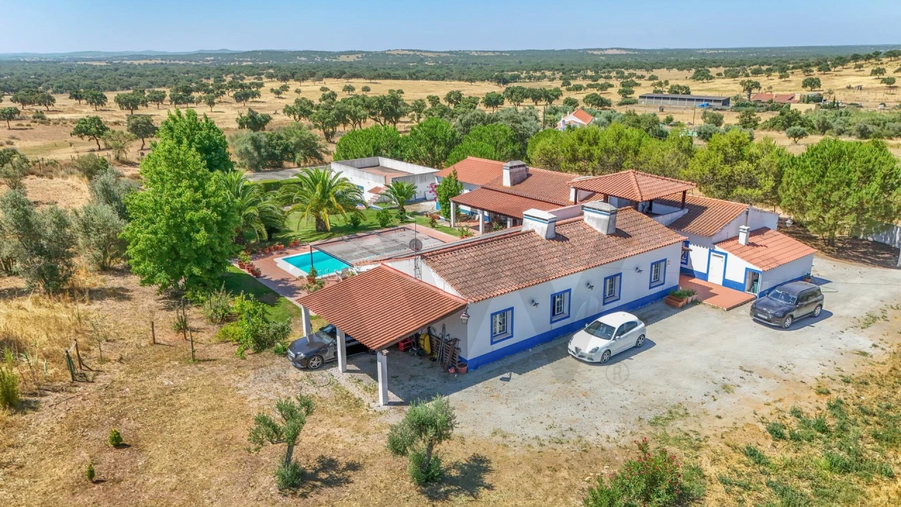 Quinta T5 para Venda em Santiago do Escoural Foto 50