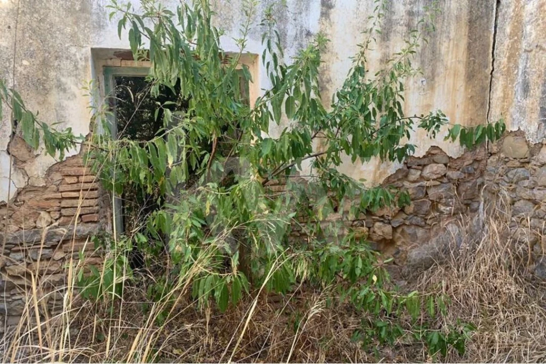 Moradia T3 para Venda em São Brás de Alportel Foto 50
