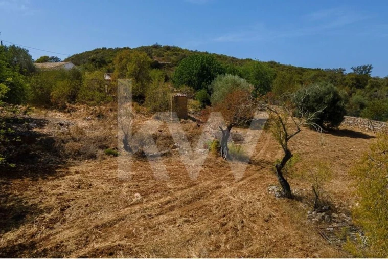 Moradia T3 para Venda em São Brás de Alportel Foto 11