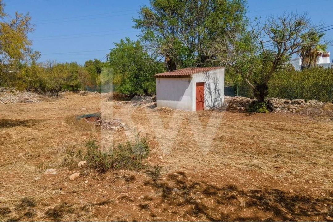 Moradia T3 para Venda em São Brás de Alportel Foto 22