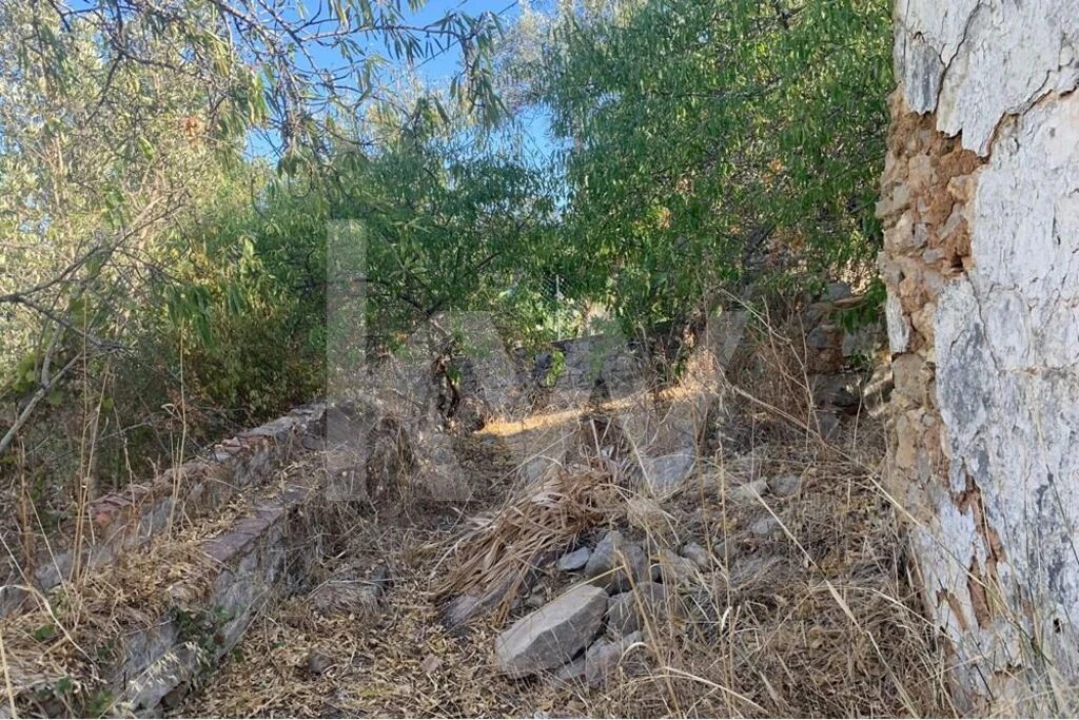 Moradia T3 para Venda em São Brás de Alportel Foto 49
