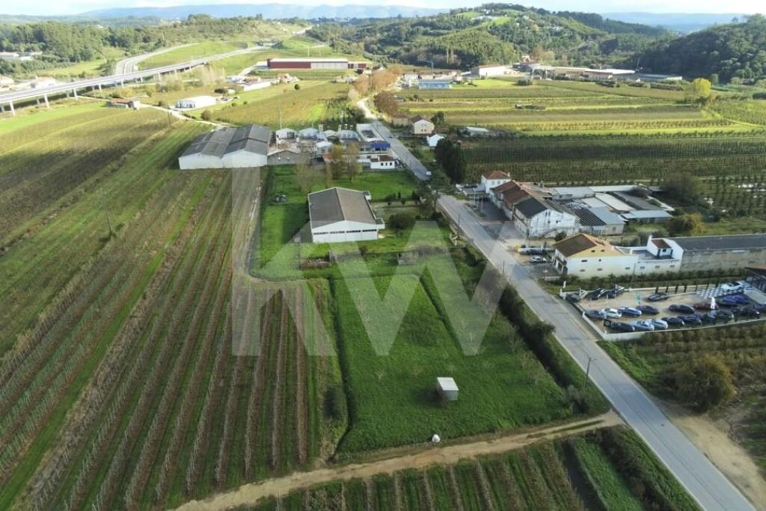 Armazém para Venda em Maiorga Foto 10