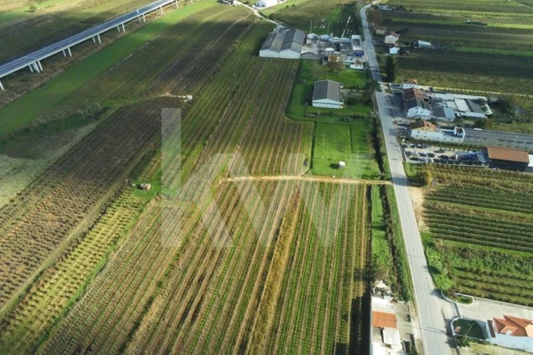 Armazém para Venda em Maiorga Foto 8