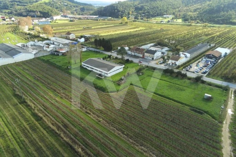 Armazém para Venda em Maiorga Foto 11