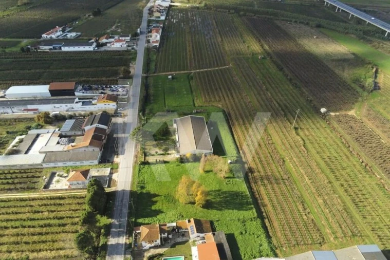 Armazém para Venda em Maiorga Foto 14