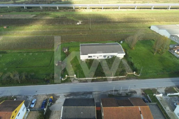 Armazém para Venda em Maiorga Foto 15