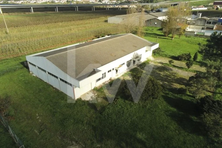 Armazém para Venda em Maiorga Foto 7