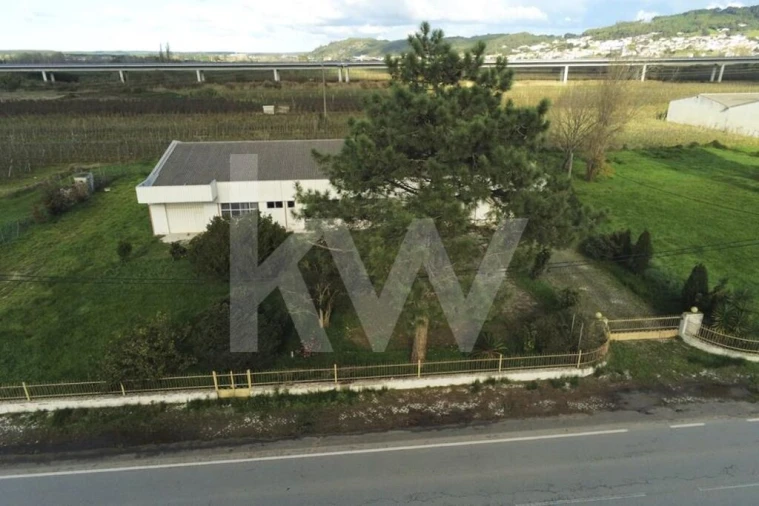 Armazém para Venda em Maiorga Foto 5