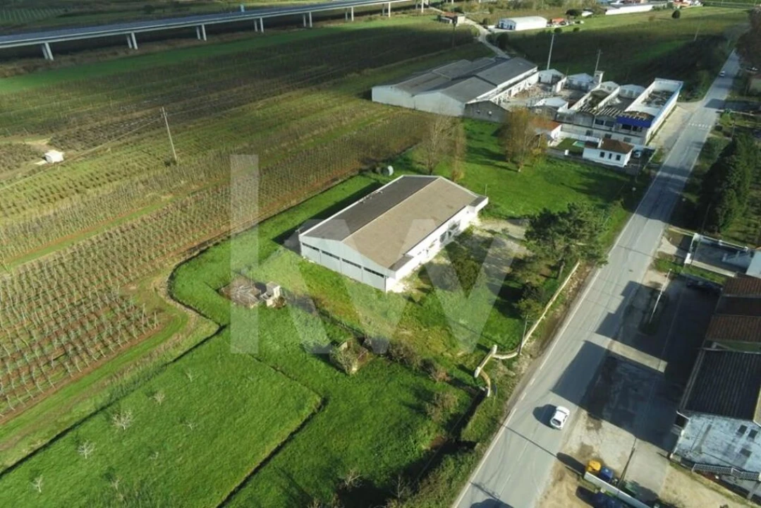 Armazém para Venda em Maiorga Foto 2