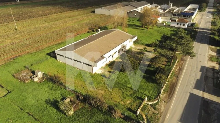 Armazém para Venda em Maiorga