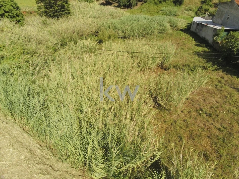 Terreno para Venda em Eiras e São Paulo de Frades Foto 7