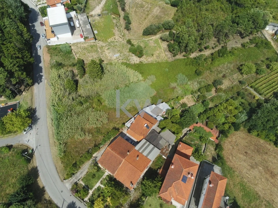 Terreno para Venda em Eiras e São Paulo de Frades Foto 8