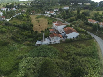 Terreno para Venda em Eiras e São Paulo de Frades