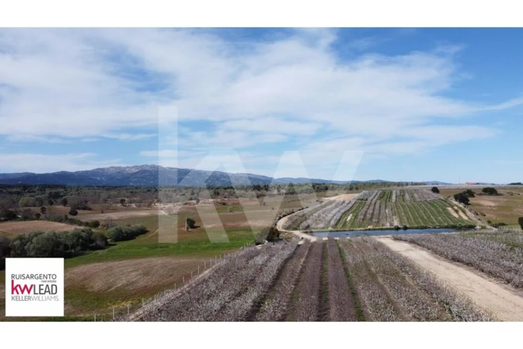 Terreno para Venda em Póvoa de Rio de Moinhos e Cafede Foto 9