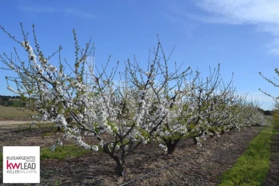 Terreno para Venda em Póvoa de Rio de Moinhos e Cafede