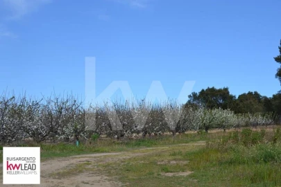 Terreno para Venda em Póvoa de Rio de Moinhos e Cafede
