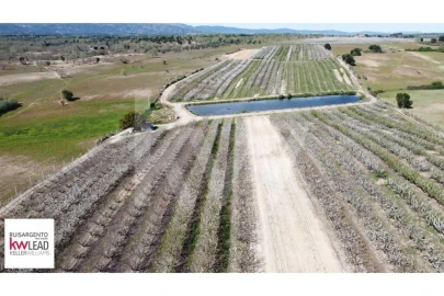 Terreno para Venda em Póvoa de Rio de Moinhos e Cafede
