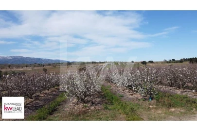 Terreno para Venda em Póvoa de Rio de Moinhos e Cafede