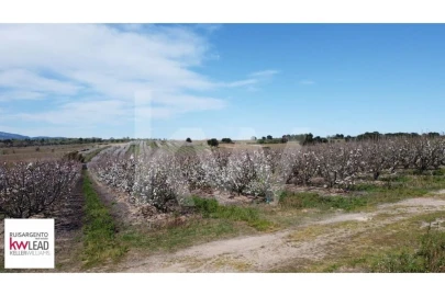 Terreno para Venda em Póvoa de Rio de Moinhos e Cafede