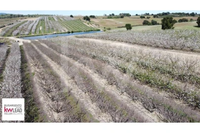 Terreno para Venda em Póvoa de Rio de Moinhos e Cafede