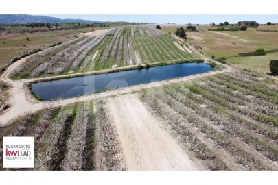 Terreno para Venda em Póvoa de Rio de Moinhos e Cafede