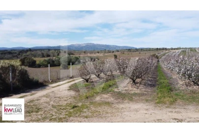 Terreno para Venda em Póvoa de Rio de Moinhos e Cafede