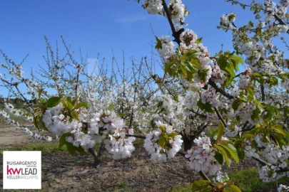 Terreno para Venda em Póvoa de Rio de Moinhos e Cafede