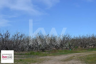 Terreno para Venda em Póvoa de Rio de Moinhos e Cafede