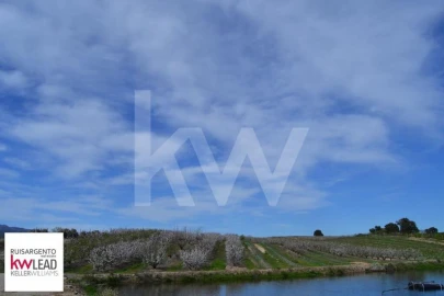 Terreno para Venda em Póvoa de Rio de Moinhos e Cafede