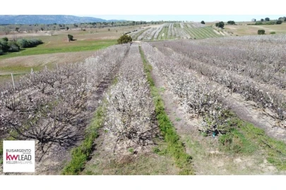Terreno para Venda em Póvoa de Rio de Moinhos e Cafede