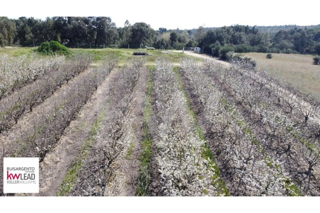 Terreno para Venda em Póvoa de Rio de Moinhos e Cafede Foto 14