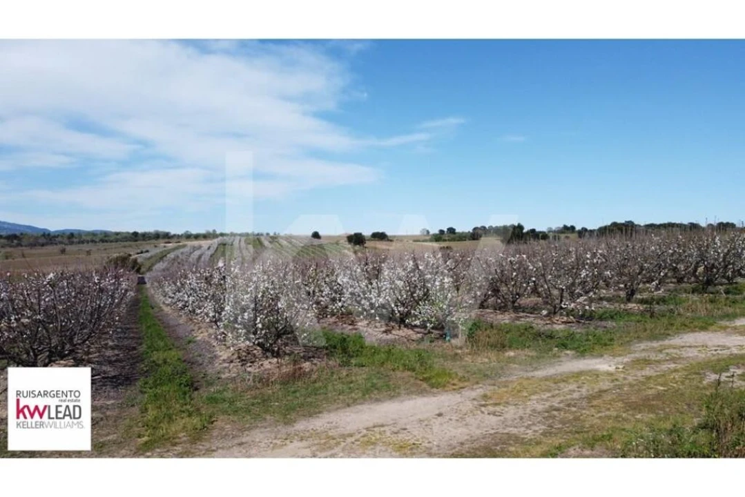 Terreno para Venda em Póvoa de Rio de Moinhos e Cafede Foto 17