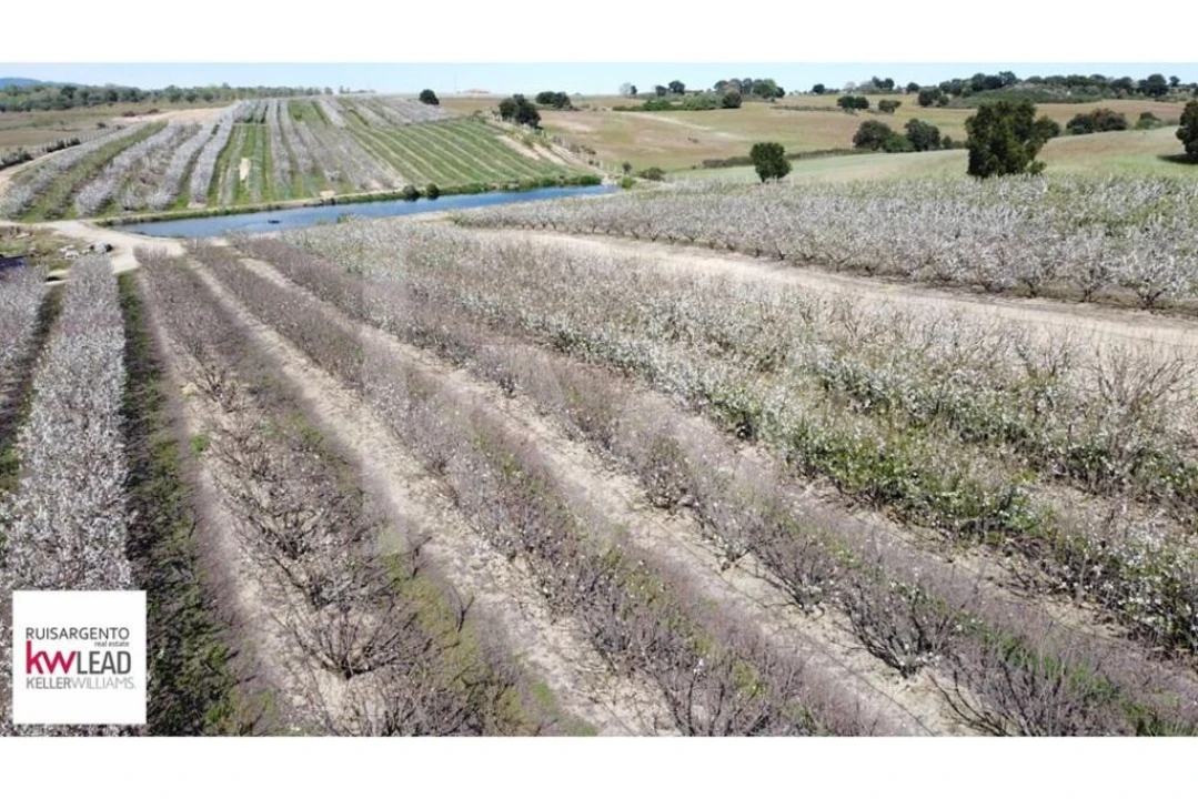 Terreno para Venda em Póvoa de Rio de Moinhos e Cafede Foto 13