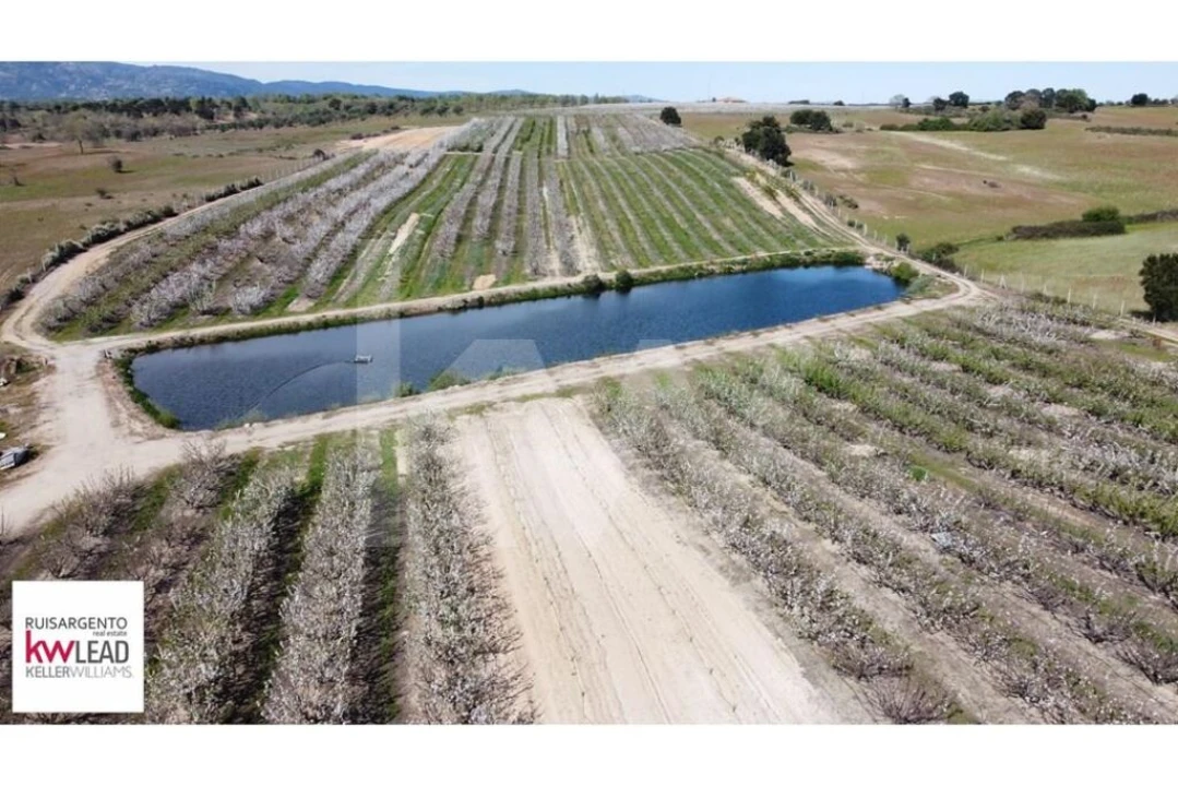 Terreno para Venda em Póvoa de Rio de Moinhos e Cafede Foto 18