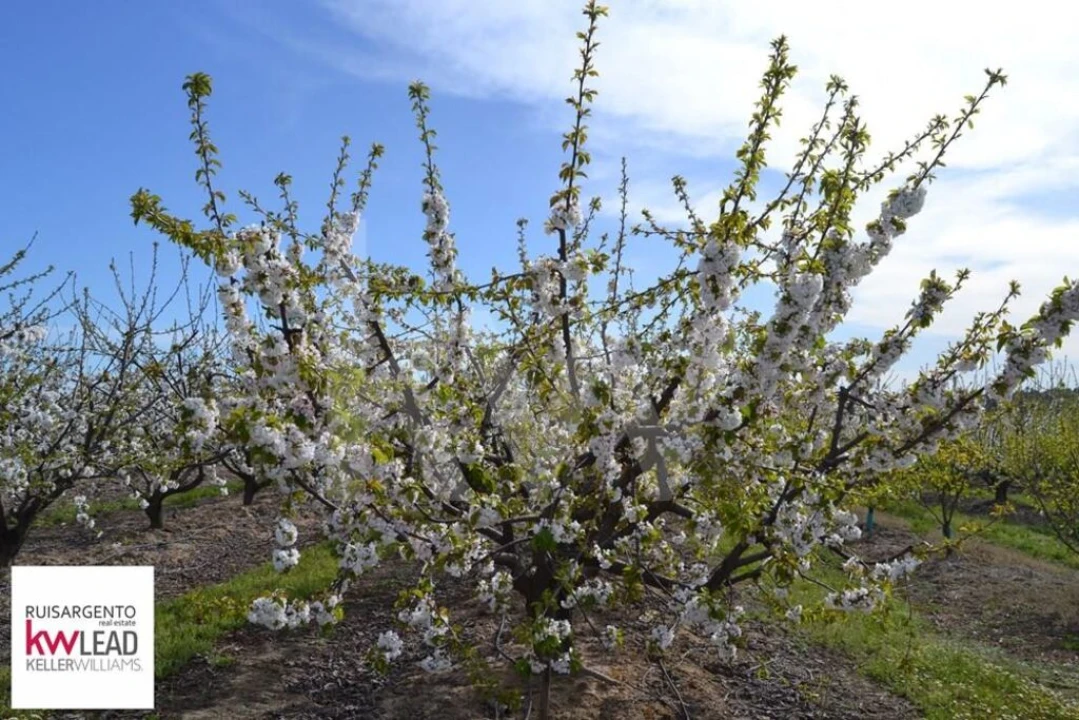 Terreno para Venda em Póvoa de Rio de Moinhos e Cafede Foto 27