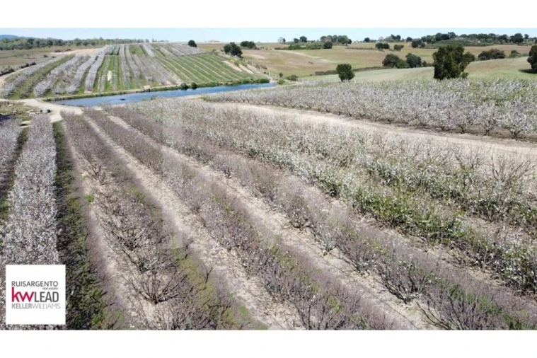 Terreno para Venda em Póvoa de Rio de Moinhos e Cafede Foto 13