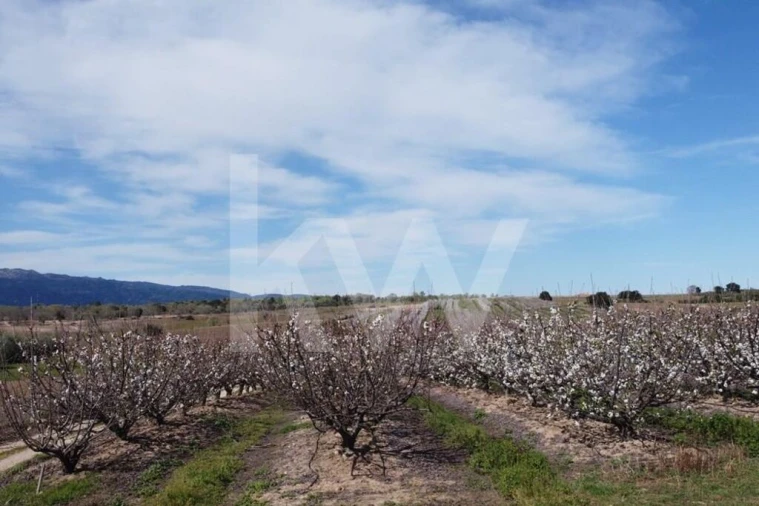 Terreno para Venda em Póvoa de Rio de Moinhos e Cafede Foto 4