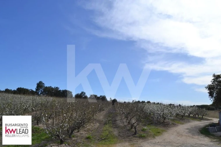 Terreno para Venda em Póvoa de Rio de Moinhos e Cafede Foto 31