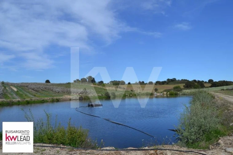 Terreno para Venda em Póvoa de Rio de Moinhos e Cafede Foto 25