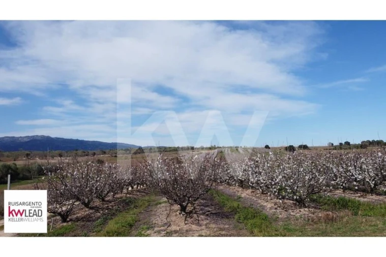 Terreno para Venda em Póvoa de Rio de Moinhos e Cafede Foto 22