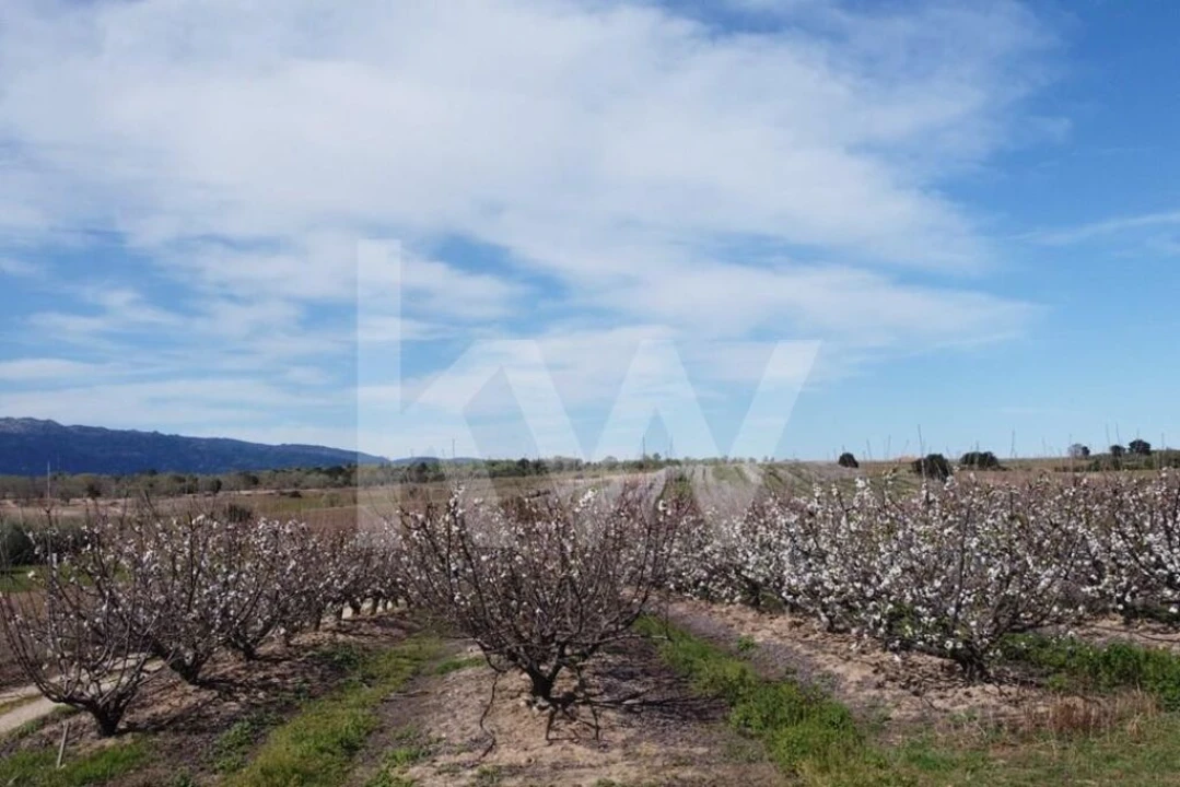 Terreno para Venda em Póvoa de Rio de Moinhos e Cafede Foto 4