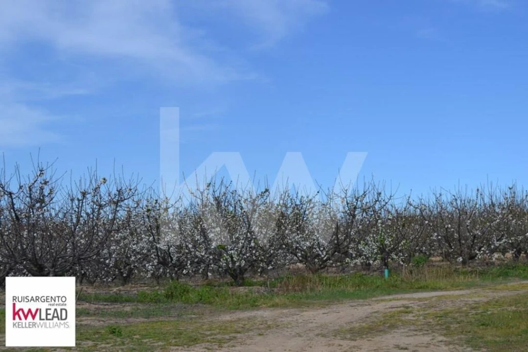 Terreno para Venda em Póvoa de Rio de Moinhos e Cafede Foto 23
