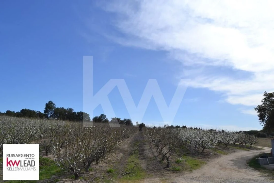 Terreno para Venda em Póvoa de Rio de Moinhos e Cafede Foto 31