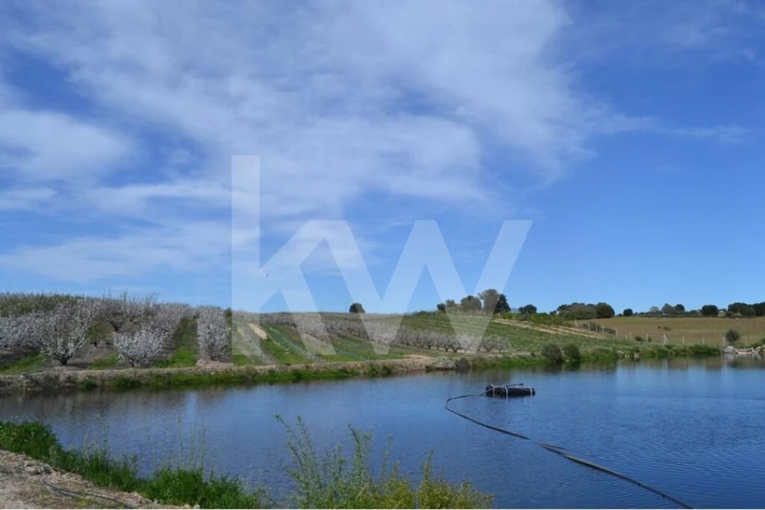 Terreno para Venda em Póvoa de Rio de Moinhos e Cafede Foto 2