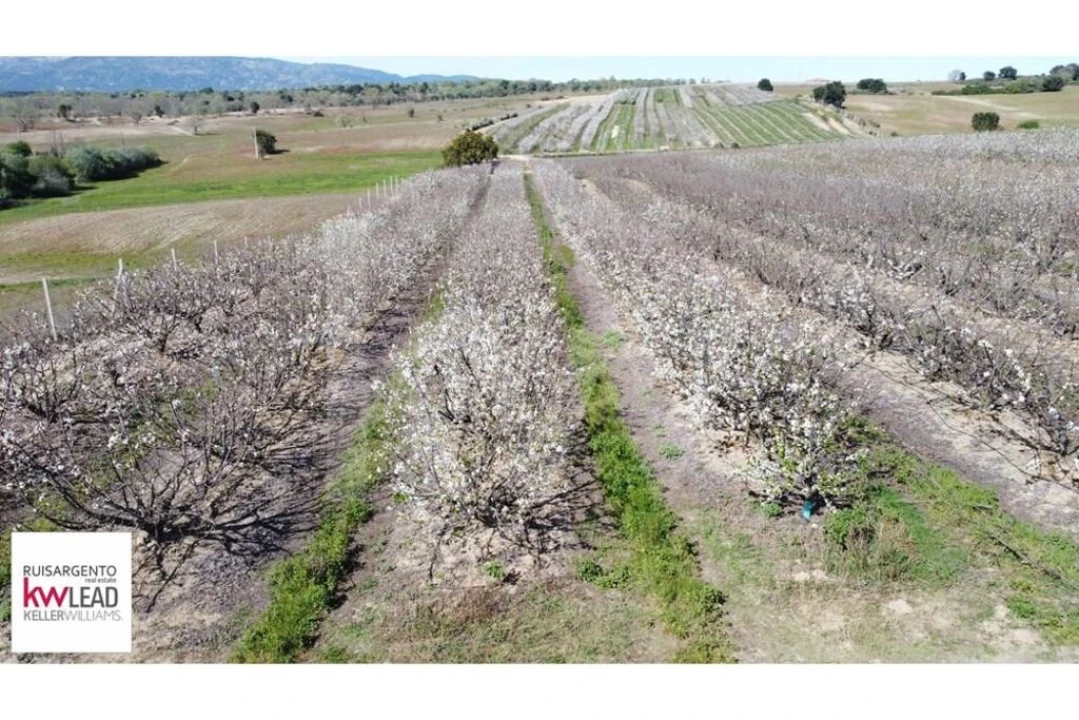 Terreno para Venda em Póvoa de Rio de Moinhos e Cafede Foto 20